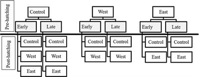 Direct and Latent Effects of Pathogen Exposure Across Native and Invasive Amphibian Life Stages